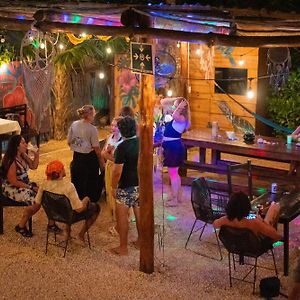 Mapache Hostel & Camping